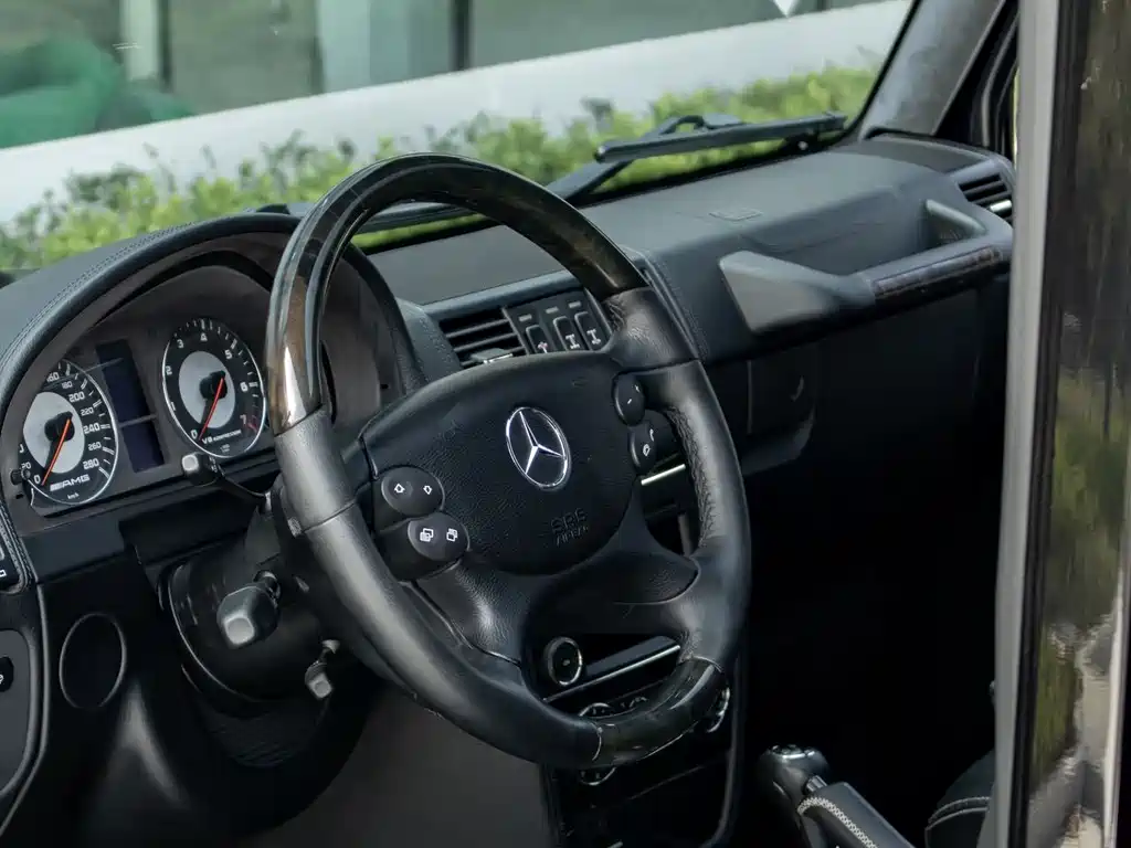 Mercedes-Benz G-Class A MG G AMG 2009 AMG G 55