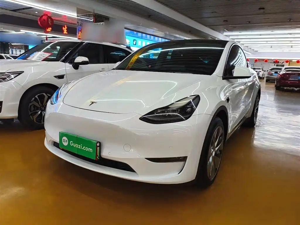 Tesla Model Y 2021