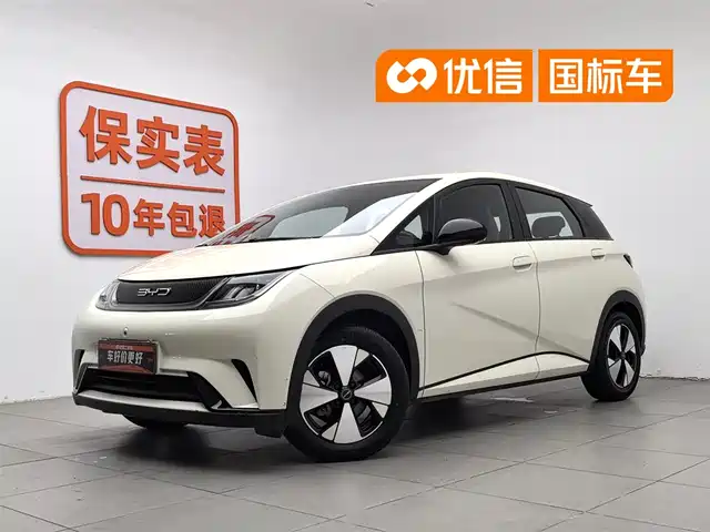 2024 BYD Dolphin
