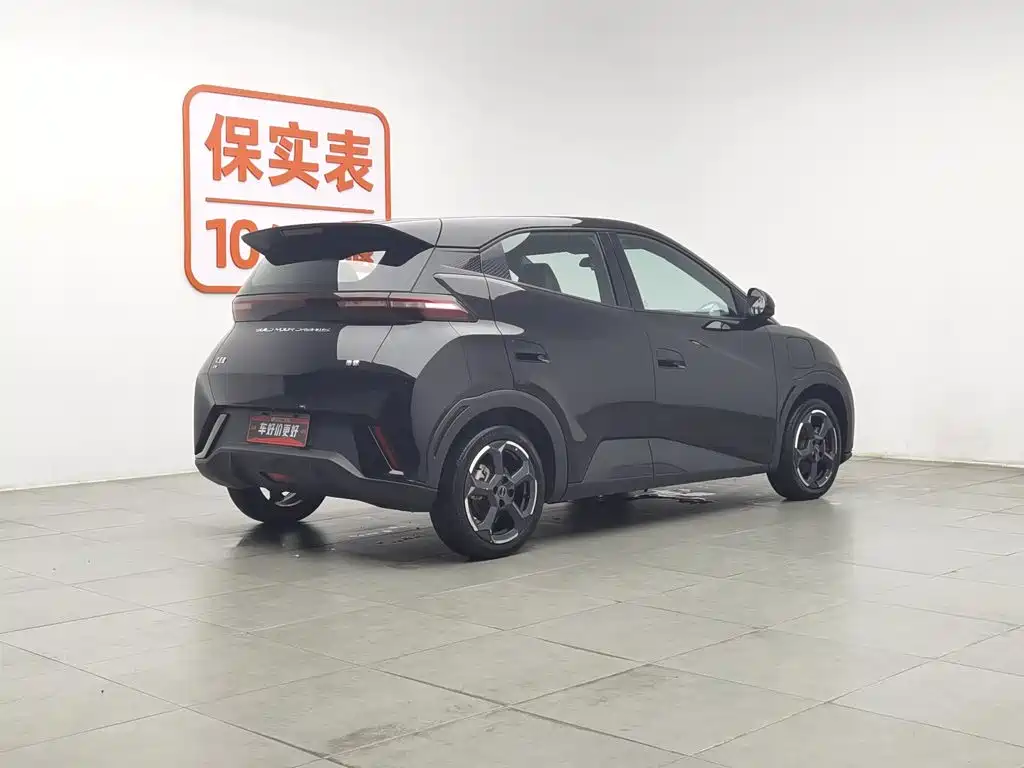 BYD Seagull 2024 305km Freedom
