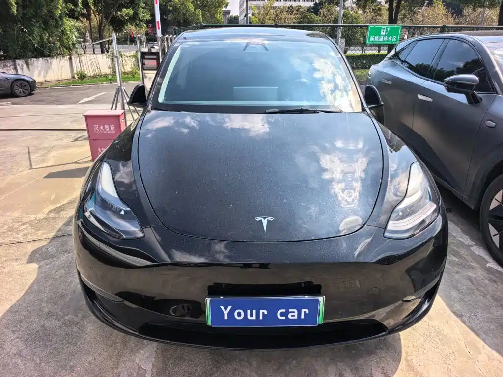 Tesla Model Y — миниатюра 2