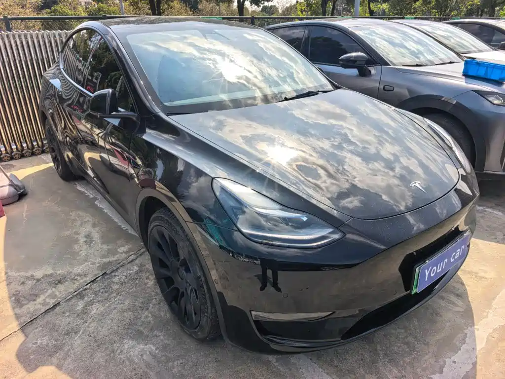 Tesla Model Y — миниатюра 3