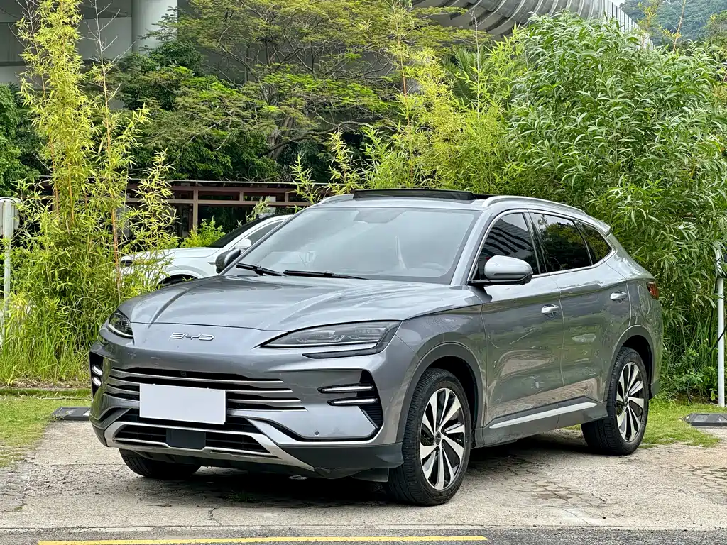 Byd PLUS New Energy 2024