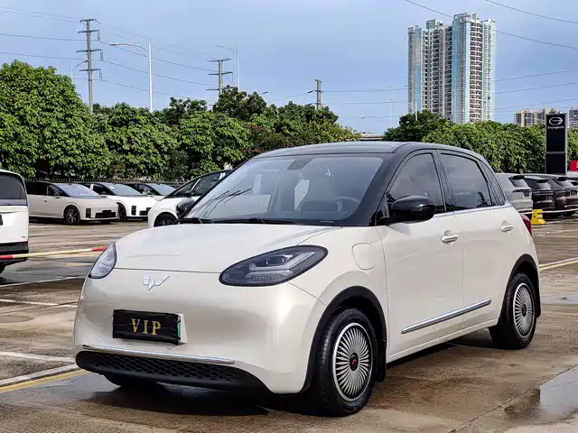 2023 Wuling Motors Binguo