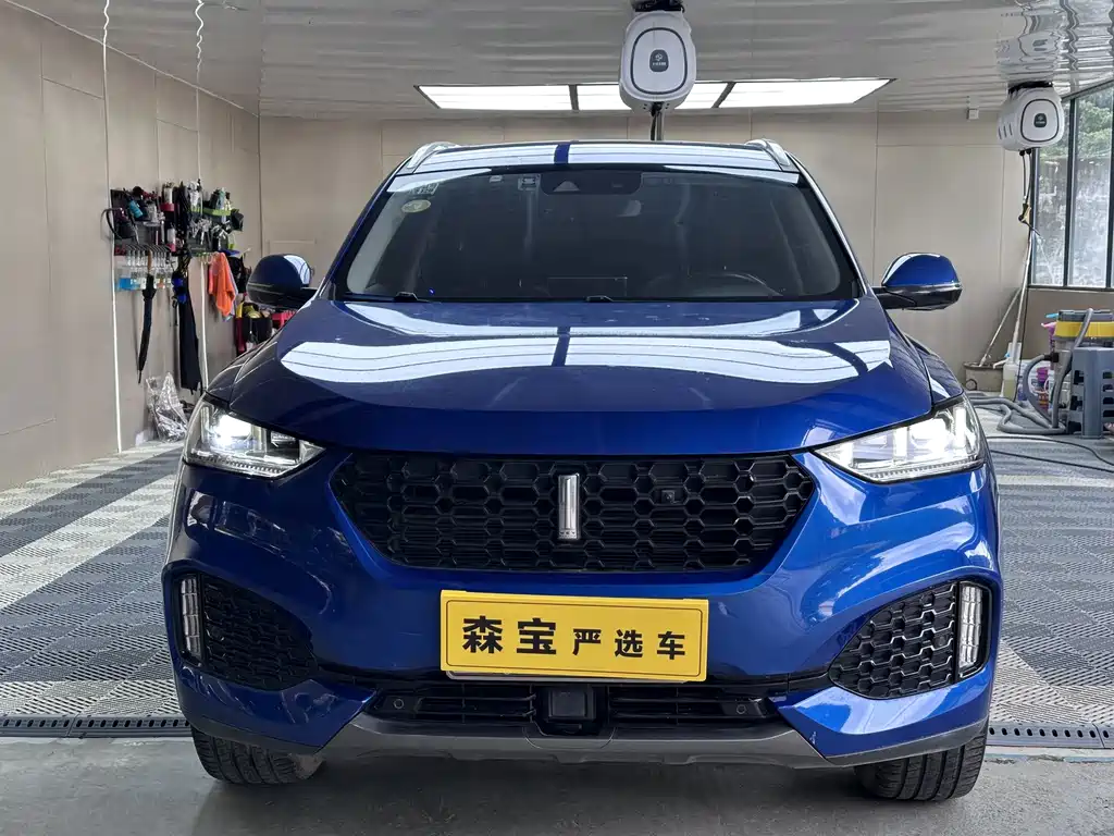 Wey Wey VV6 — миниатюра 2
