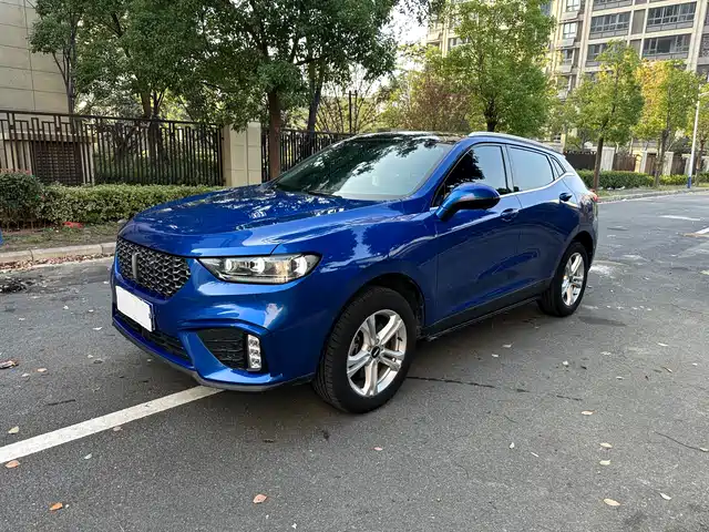 wei-pai wei-brand-vv5