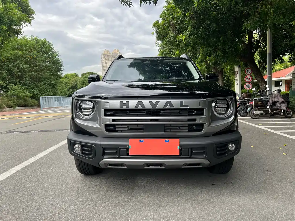 HAVAL BIG DOG