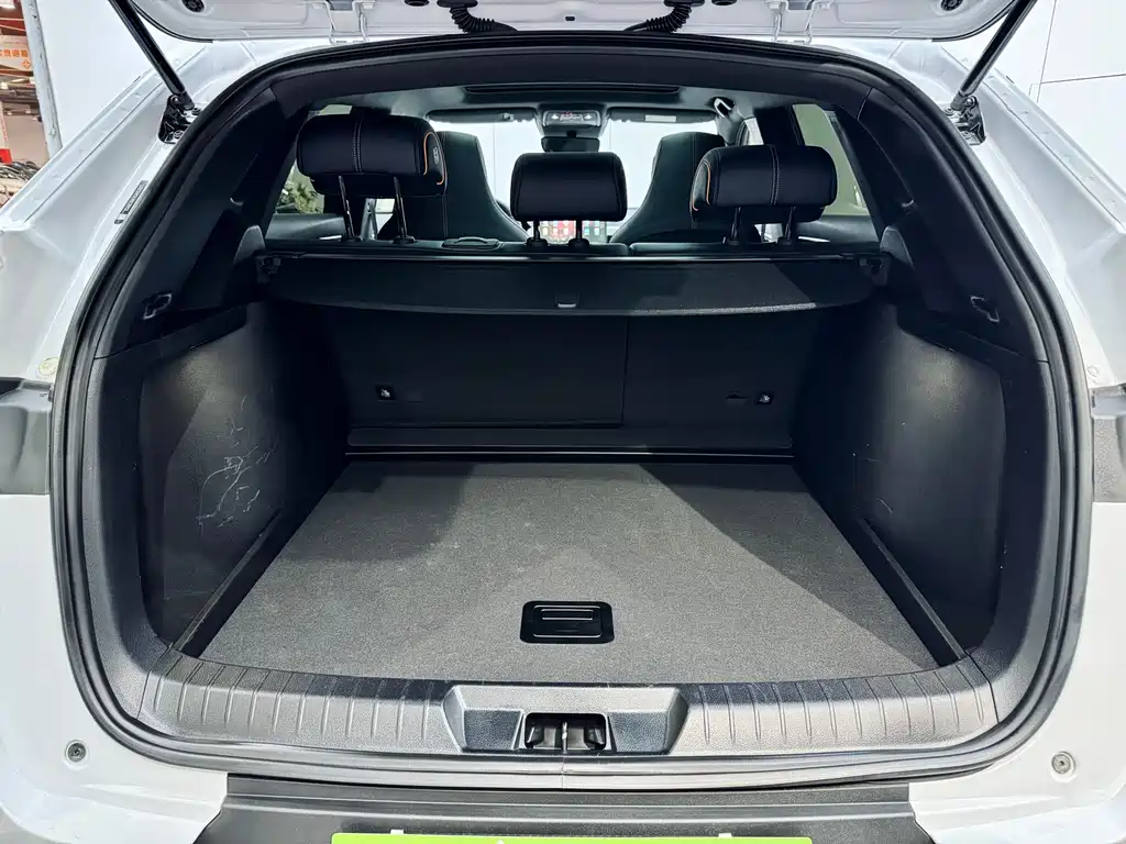 BYD SONGJIANG NEW ENERGY