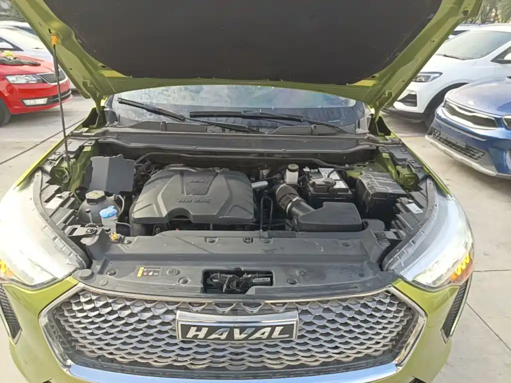 Haval Chulian — миниатюра 20