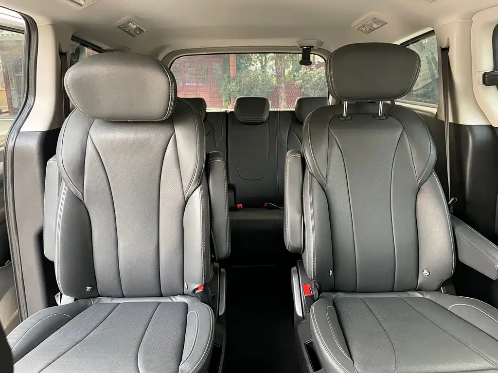 SAIC MAXUS CHASE G20