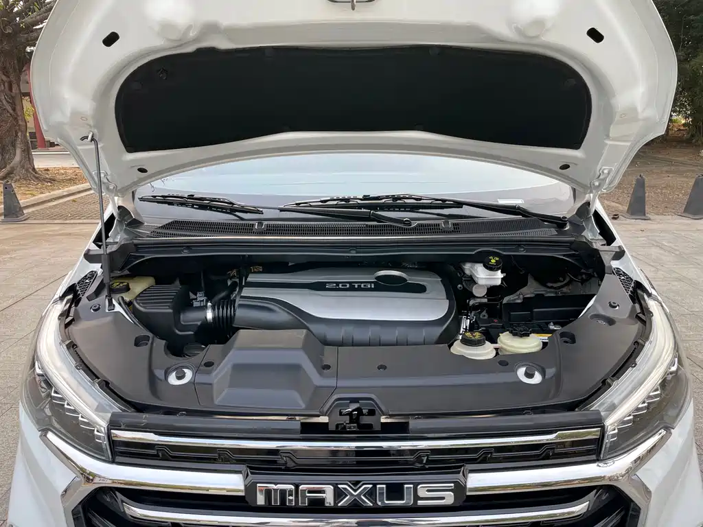 SAIC MAXUS CHASE G20