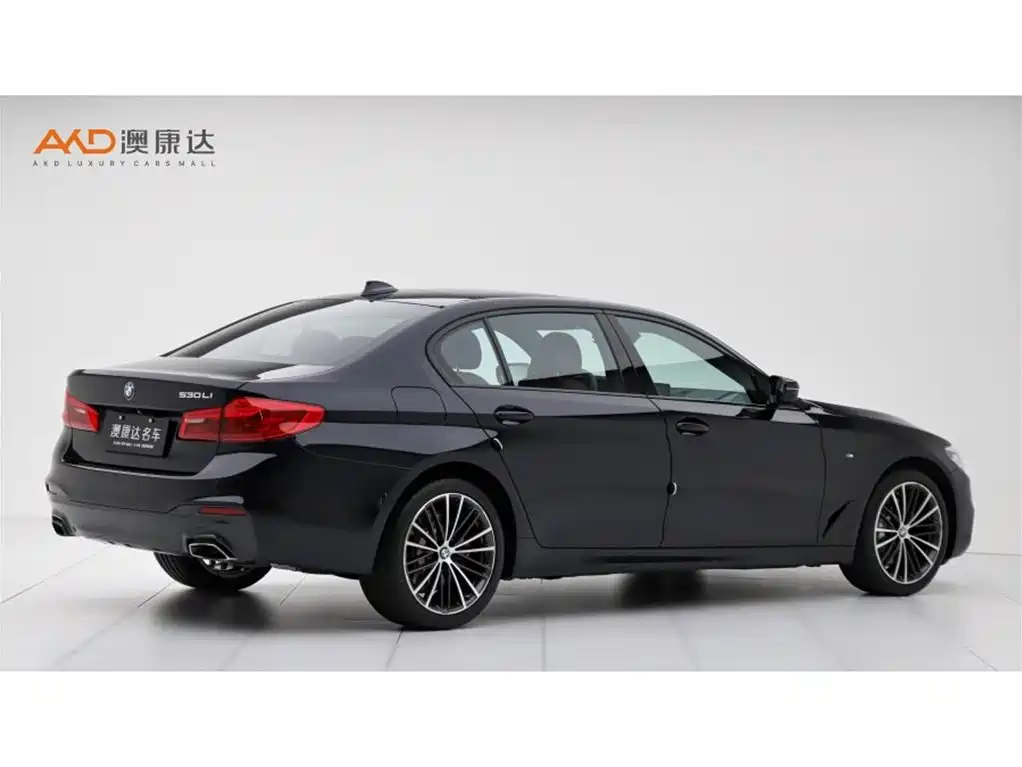 BMW 5 Series — миниатюра 3
