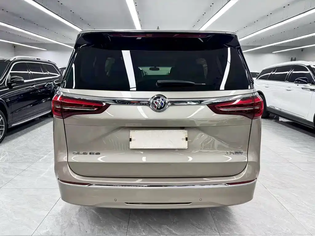 Buick GL8 — миниатюра 5