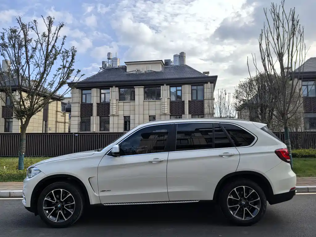 BMW X5 2014 xDrive35i Lead