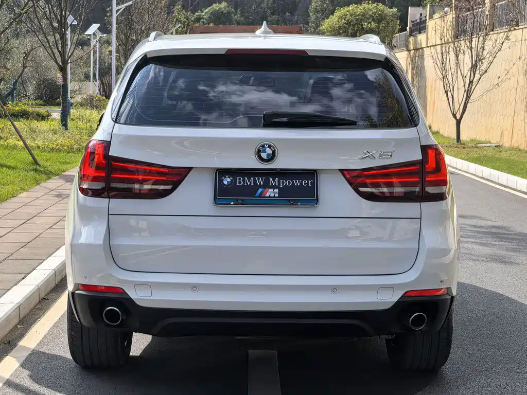 BMW X5 2014 xDrive35i Lead