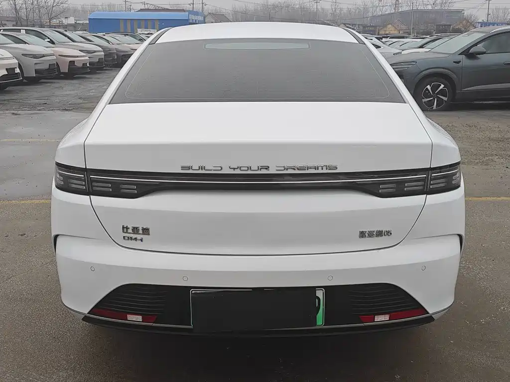 BYD DESTROYER 05