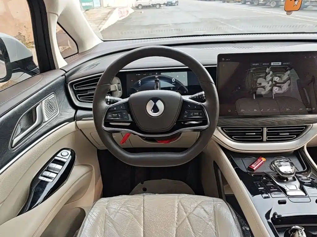 Denza Denza D9 — миниатюра 11