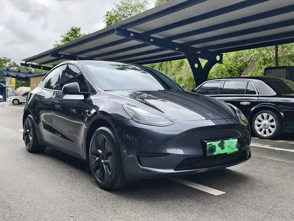 Tesla Model Y — миниатюра 3