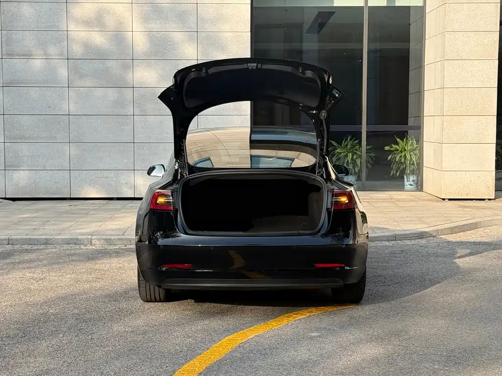 Tesla Model 3 — миниатюра 15