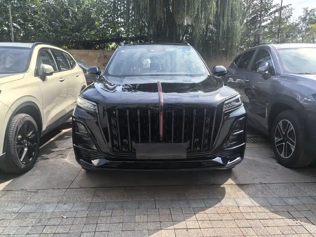 Hongqi Hongqi HS5 — миниатюра 2