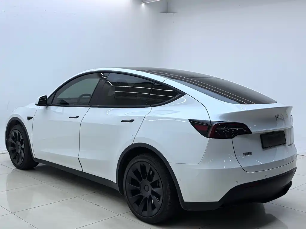 Tesla Model Y — миниатюра 11