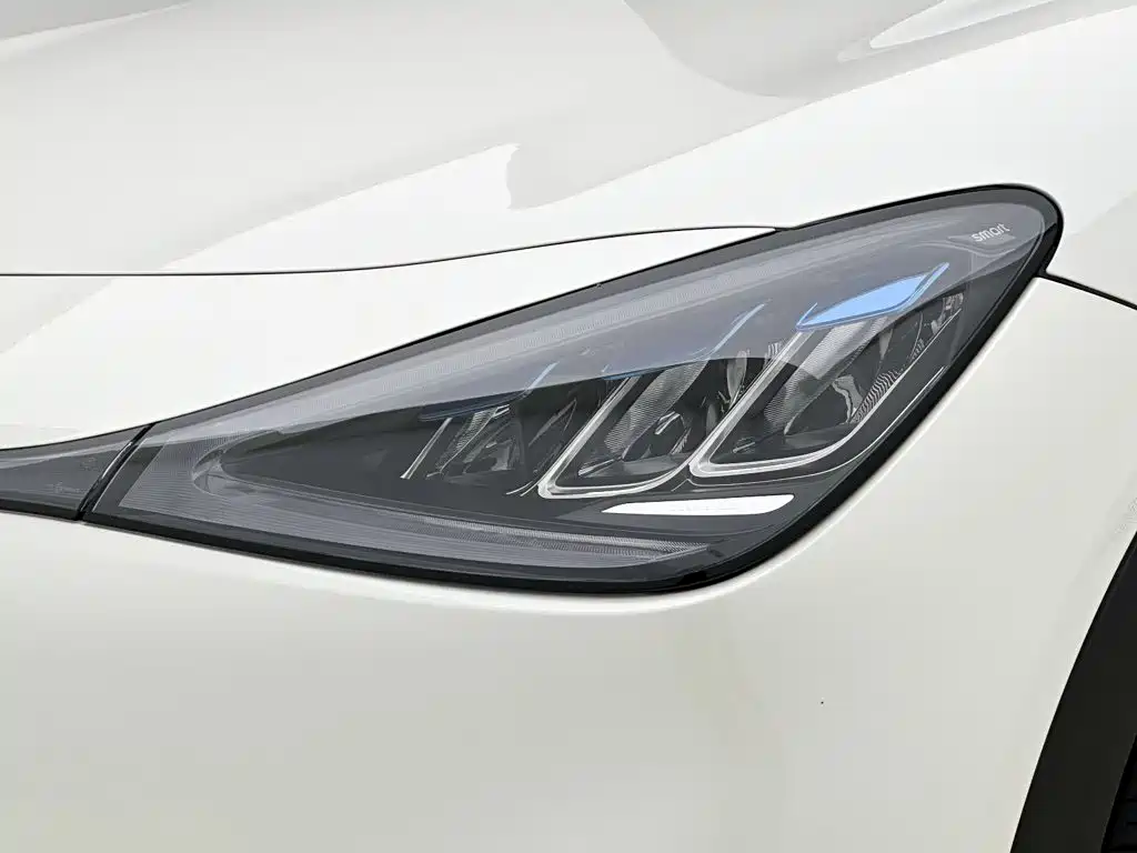 smart Smart #1 — миниатюра 26