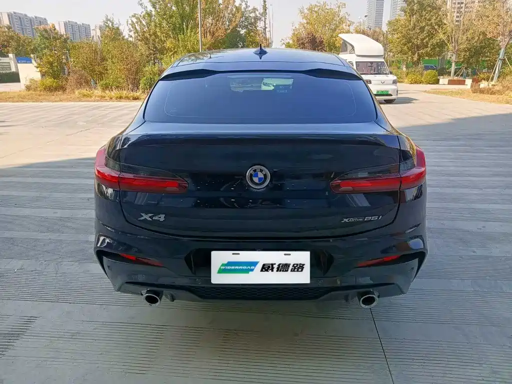 BMW X4 — миниатюра 6