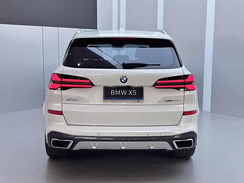 BMW X5 — миниатюра 19