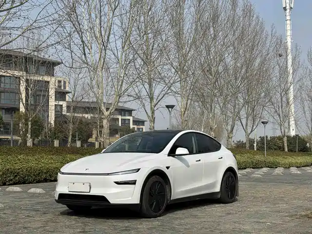 TESLA MODEL Y 2025