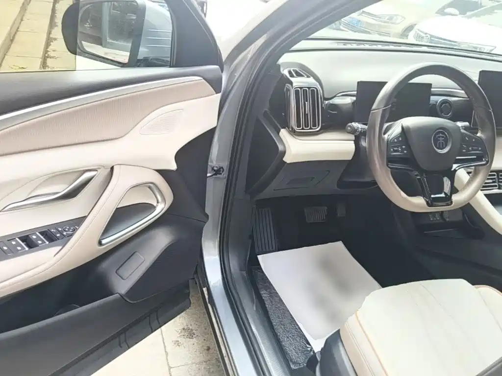 BYD Pro New Energy — миниатюра 16