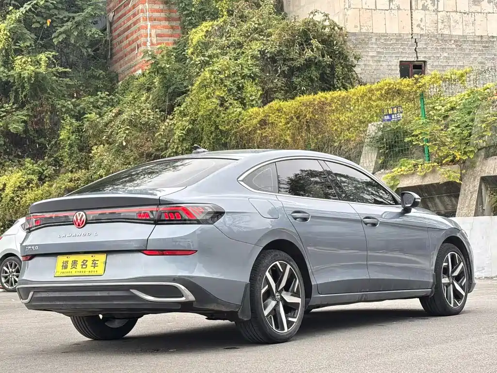 Volkswagen Lamando — миниатюра 7