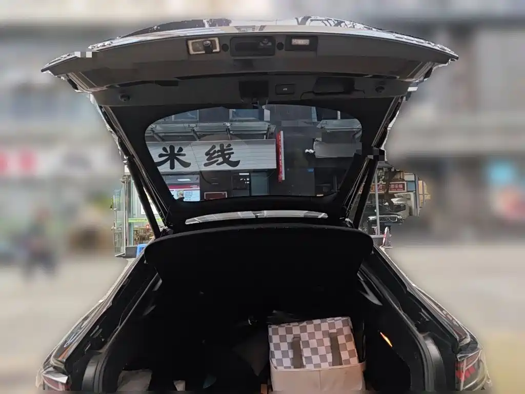 Volkswagen Lamando — миниатюра 15
