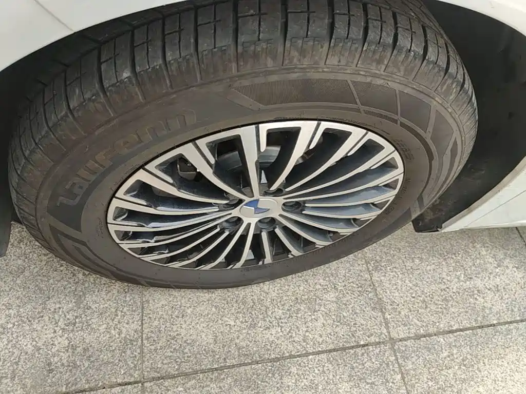 Denza Denza D9 — миниатюра 23