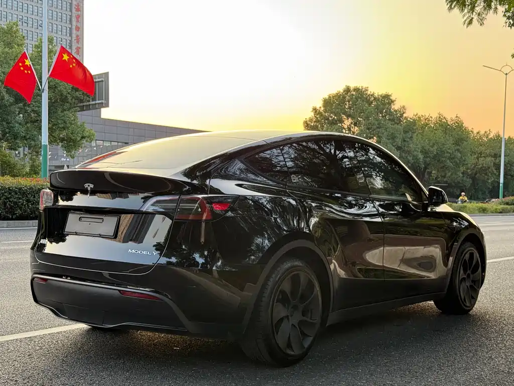 Tesla Model Y — миниатюра 5