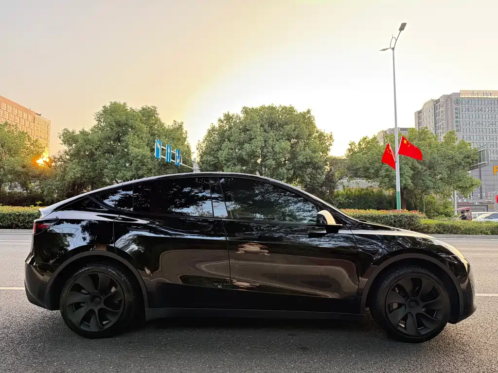 Tesla Model Y — миниатюра 6