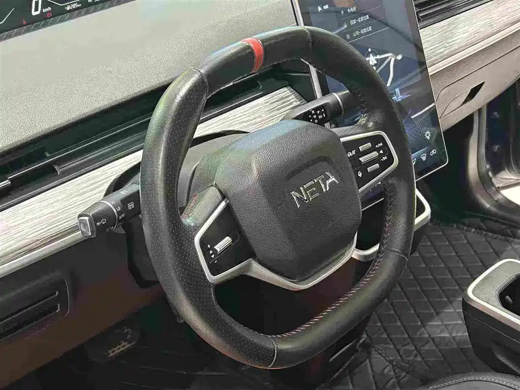 Neta Neta V — миниатюра 5