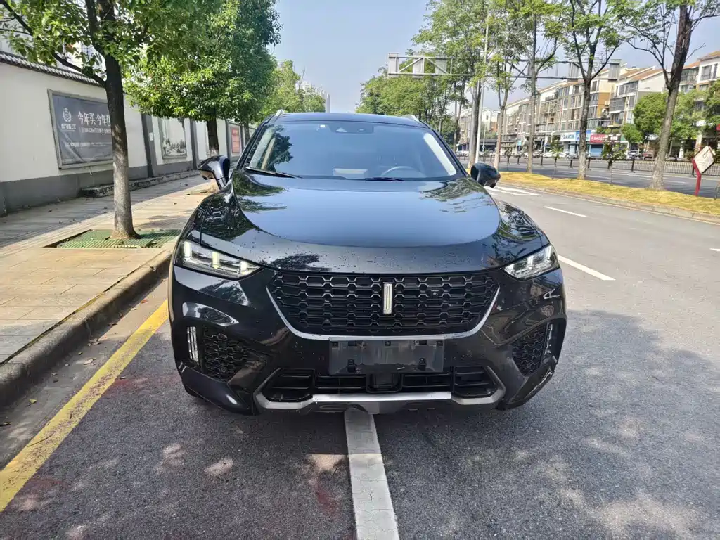 Wey Wey VV7 — миниатюра 2