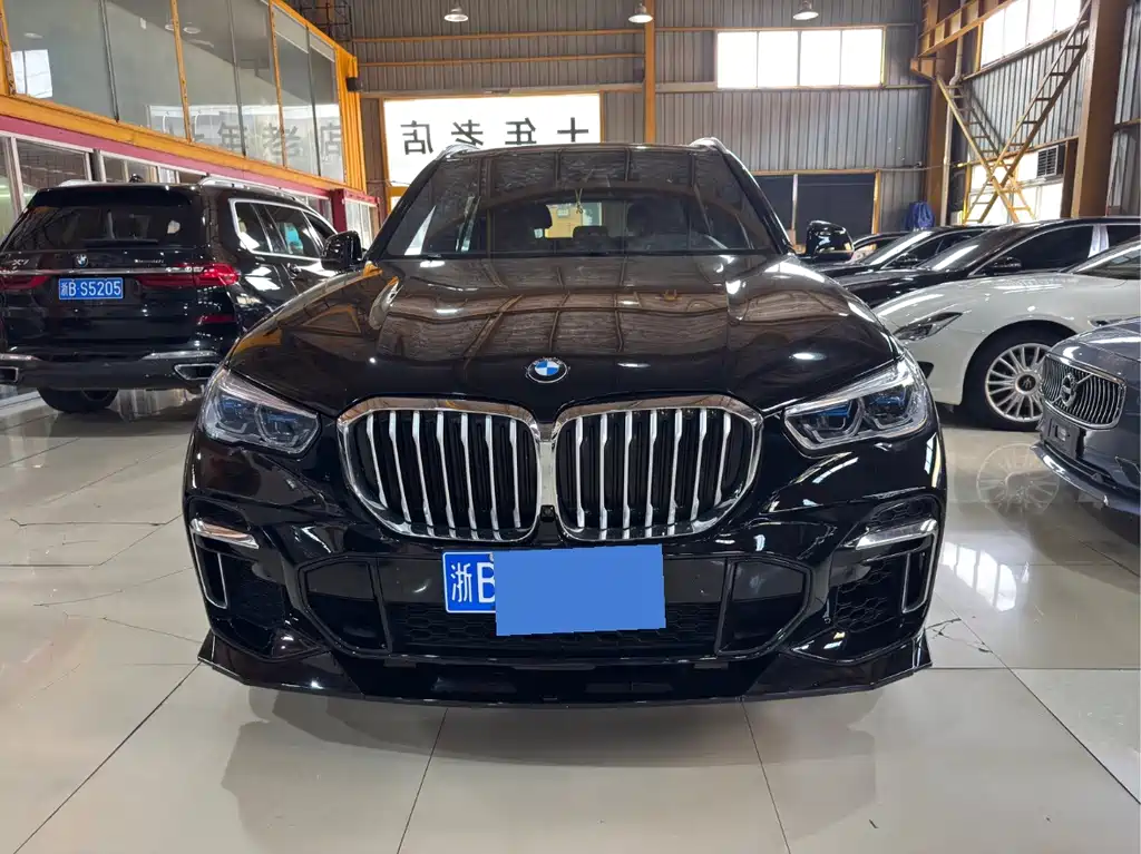 BMW X5 — миниатюра 2