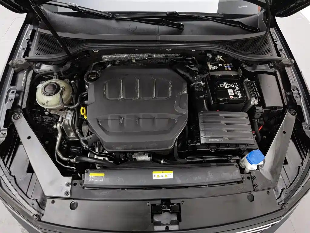 Volkswagen Magotan 2025 330TSI DSG Luxury