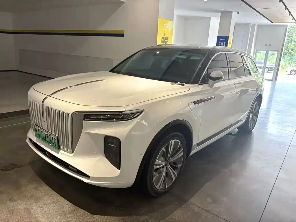 Hongqi Hongqi E-HS9 — миниатюра 9