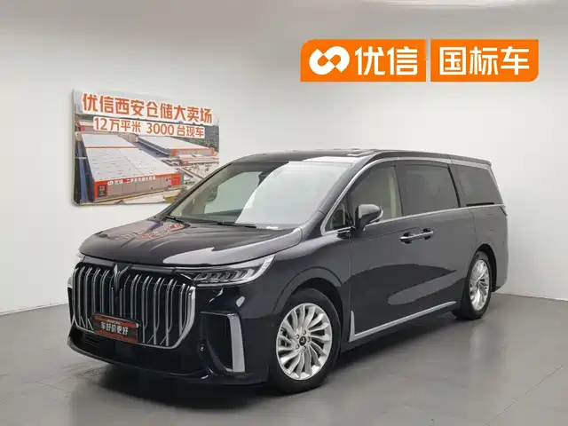 2024 Voyah Dream