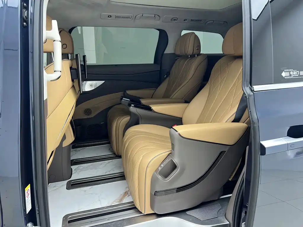 Denza Denza D9 — миниатюра 11