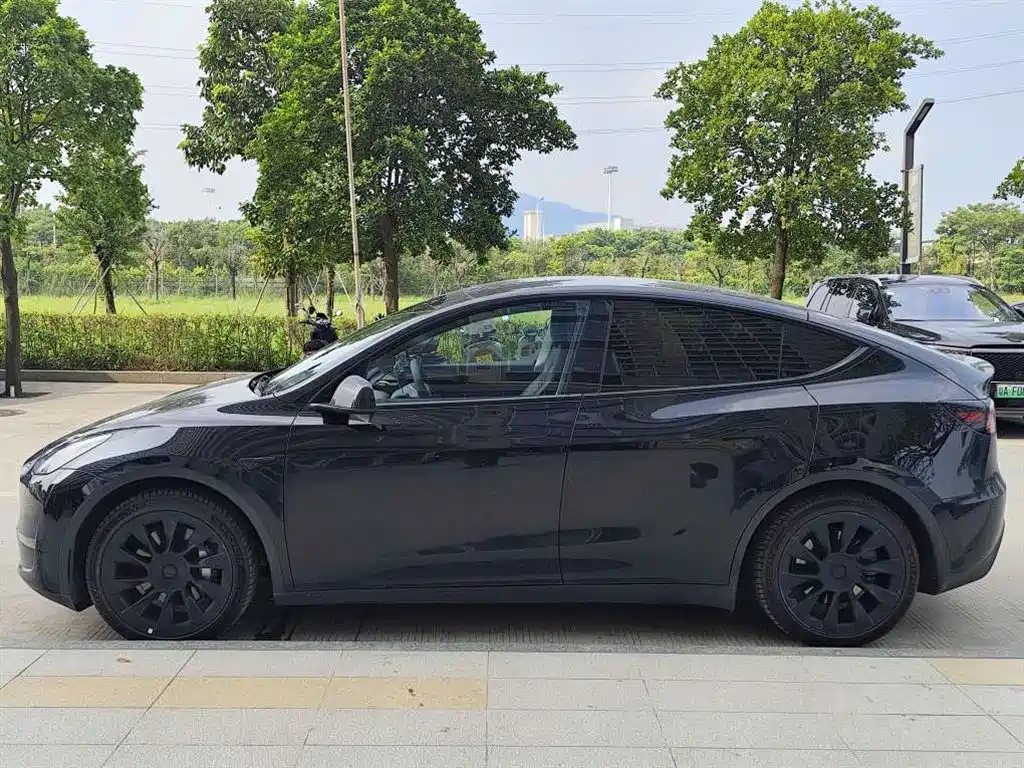 Tesla Model Y — миниатюра 3