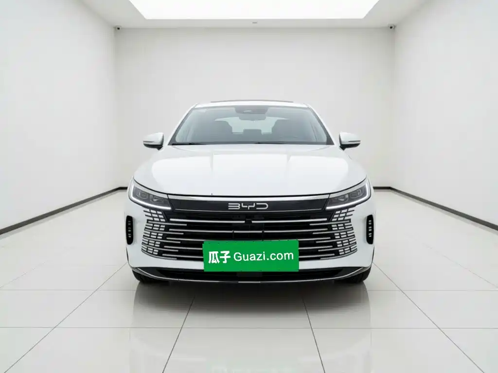 BYD Destroyer 05 — миниатюра 2