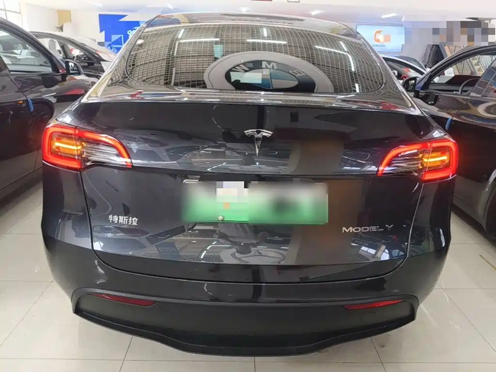 Tesla Model Y — миниатюра 6