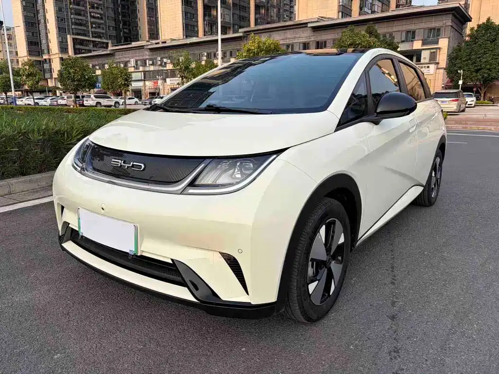 Byd Dolphin 2024