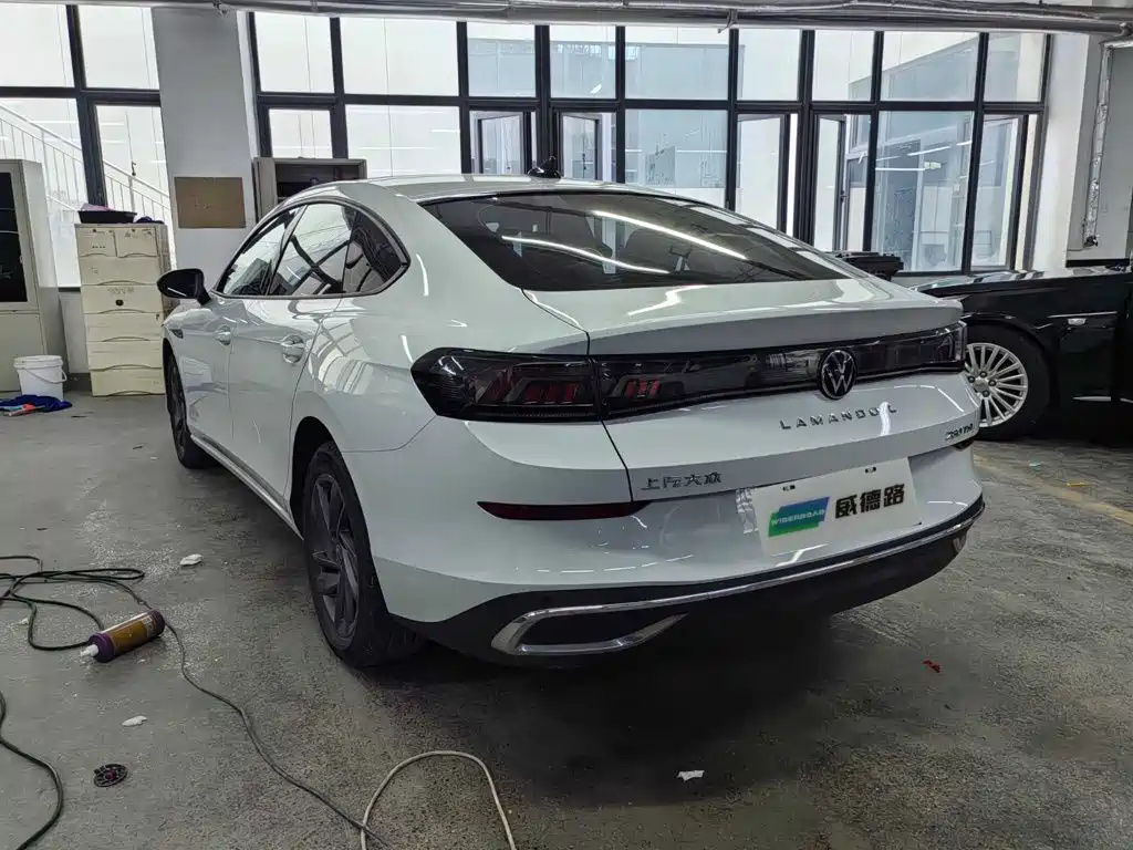 Volkswagen Lamando — миниатюра 5