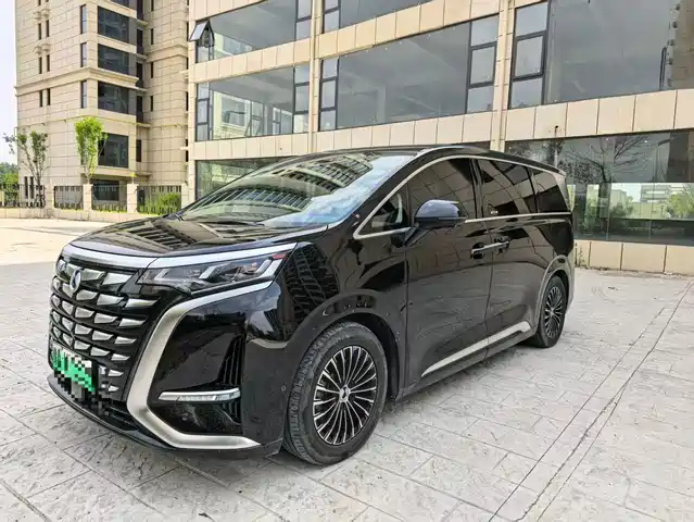 2024 Denza D9