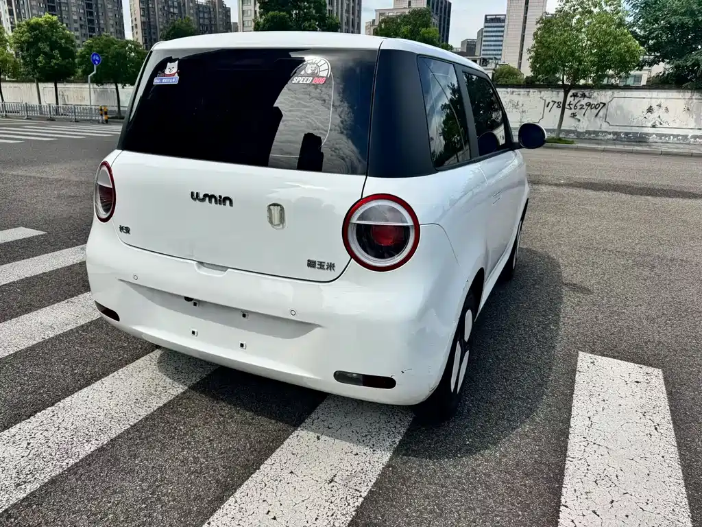 Qiyuan Lumin — миниатюра 12