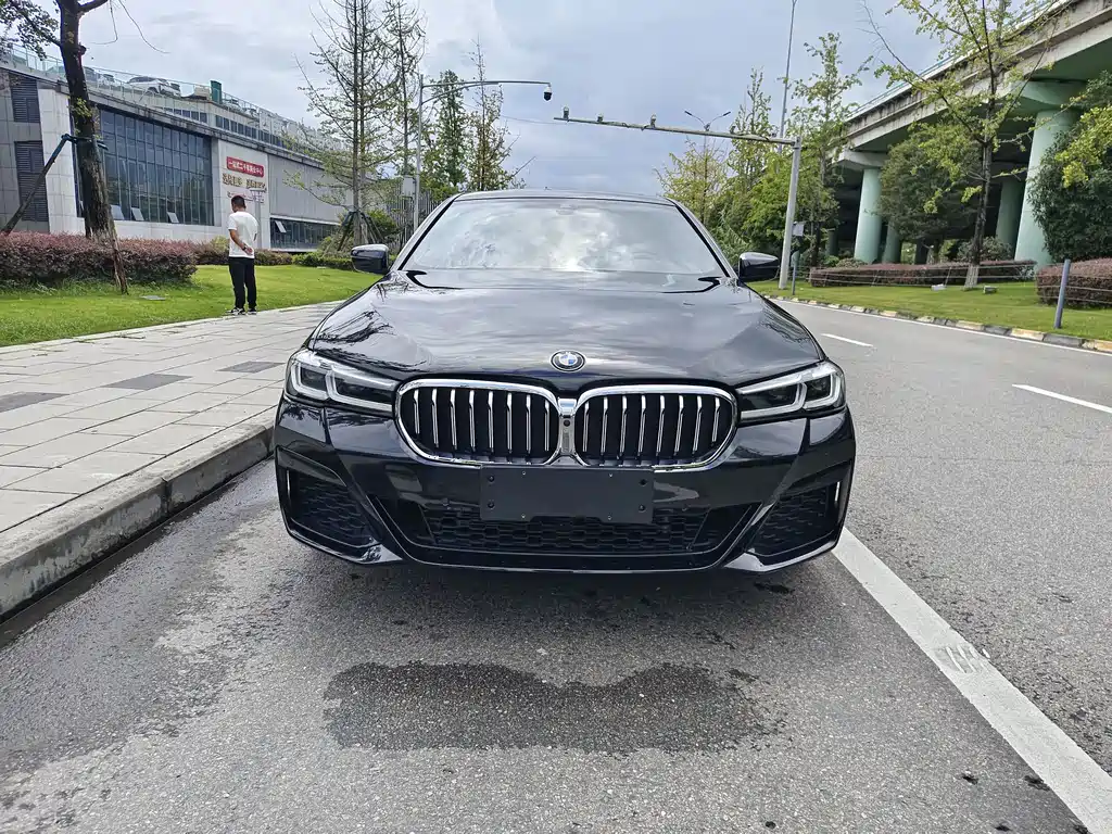 BMW 5 Series — миниатюра 2